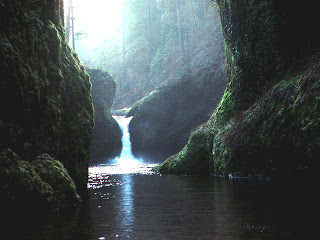 spring of water