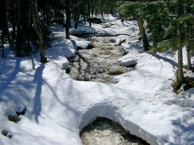 adirondacks-spring_tx800