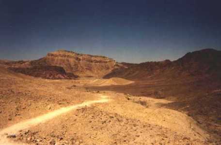 path-05-desert